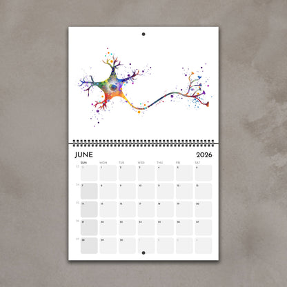 2026 anatomy wall calendar pages featuring human brain neuron anatomy science art
