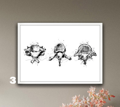 Vertebrae Anatomy Watercolor Print – Spine Medical Wall Art – Cervical, Thoracic & Lumbar