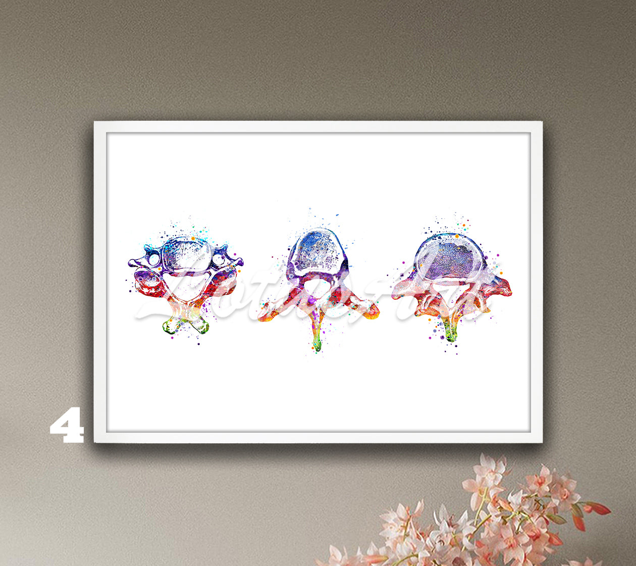 Vertebrae Anatomy Watercolor Print – Spine Medical Wall Art – Cervical, Thoracic & Lumbar