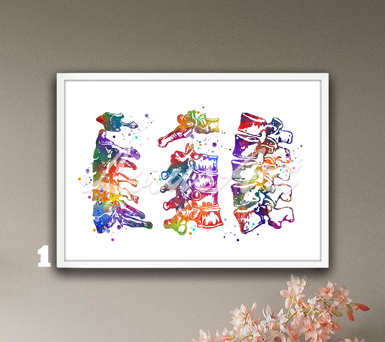 Cervical thoracic and lumbar vertebrae spine anatomy watercolor art in multicolor, medical decor for clinics & doctors gift