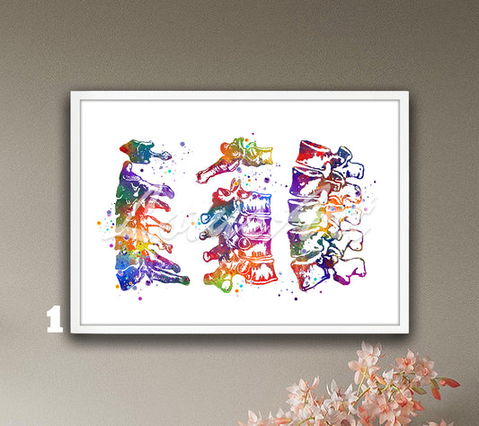 Cervical thoracic and lumbar vertebrae spine anatomy watercolor art in multicolor, medical decor for clinics & doctors gift
