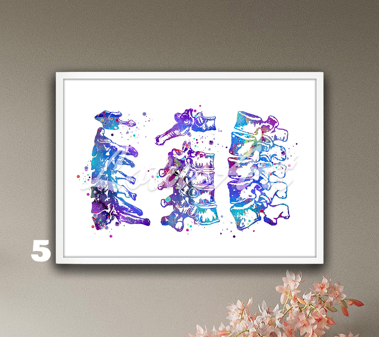 Cervical thoracic and lumbar vertebrae spine anatomy watercolor decor, blue-purple medical decor for clinics & doctors gift