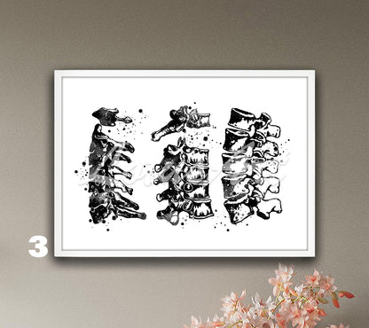 Cervical thoracic and lumbar vertebrae spine anatomy black-white watercolor poster, medical decor for clinics & doctors gift