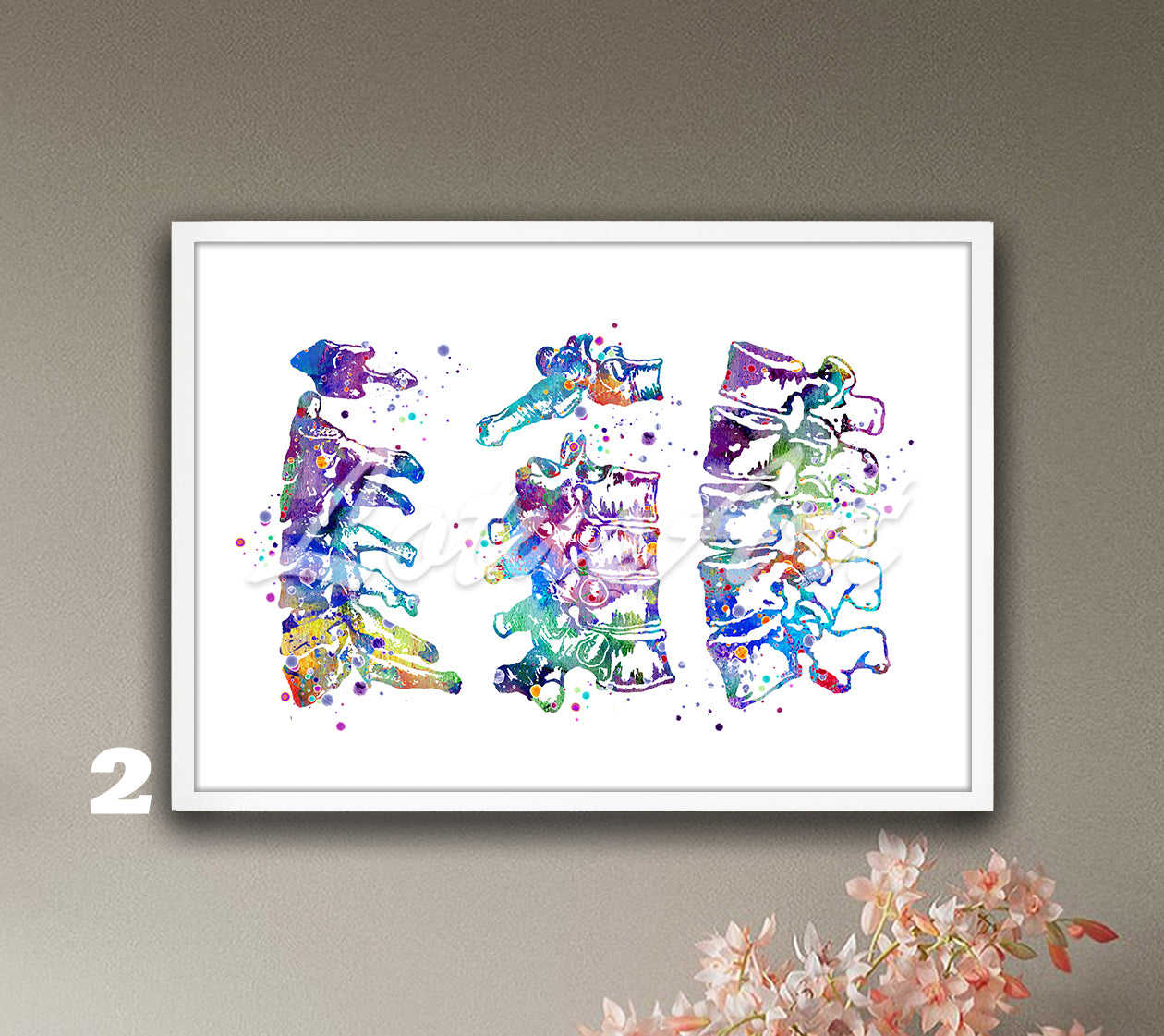 Cervical thoracic and lumbar vertebrae spine anatomy colorful watercolor print, medical wall decor for clinics & doctors gift