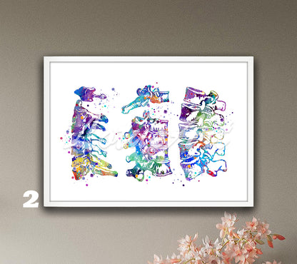 Cervical thoracic and lumbar vertebrae spine anatomy colorful watercolor print, medical wall decor for clinics & doctors gift