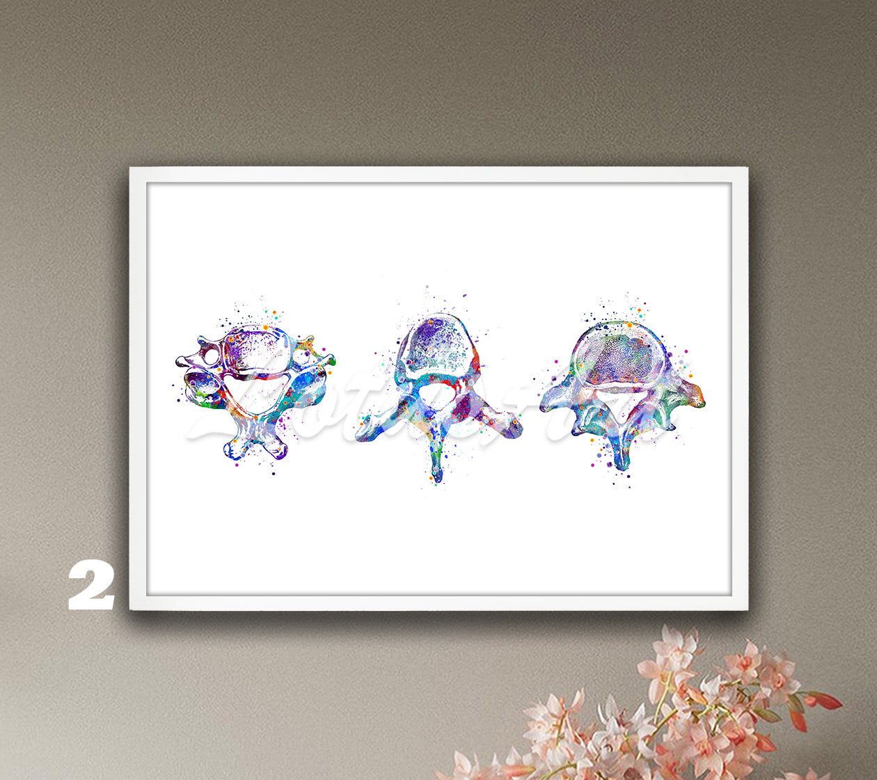 Three vertebrae anatomy watercolor decor in blue-purple shown in a row, spine medical wall decor for orthopedic clinics