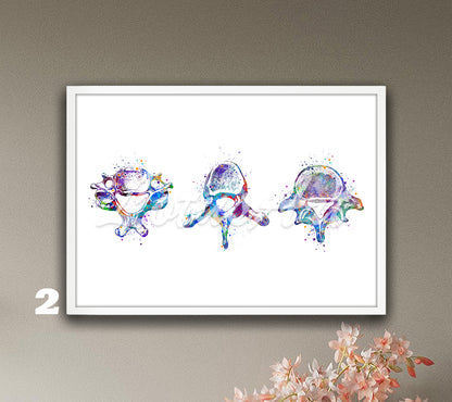 Three vertebrae anatomy watercolor decor in blue-purple shown in a row, spine medical wall decor for orthopedic clinics