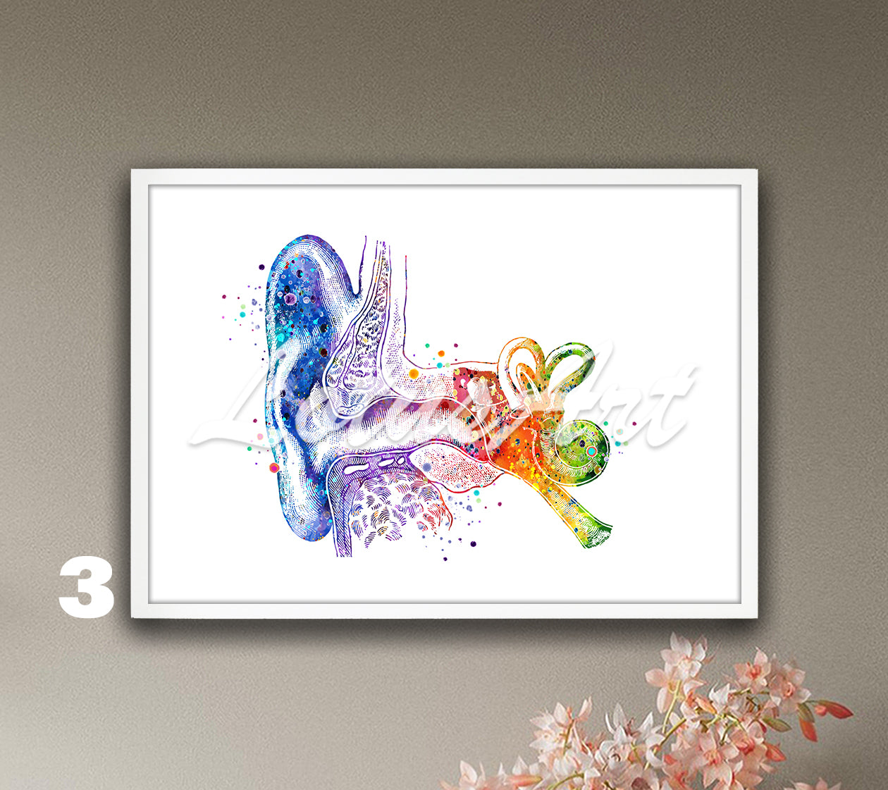 Art print of cochlea inner and outer ear anatomy watercolor painting in rainbow colors– audiology wall decor.