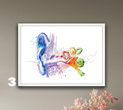 Art print of cochlea inner and outer ear anatomy watercolor painting in rainbow colors– audiology wall decor.