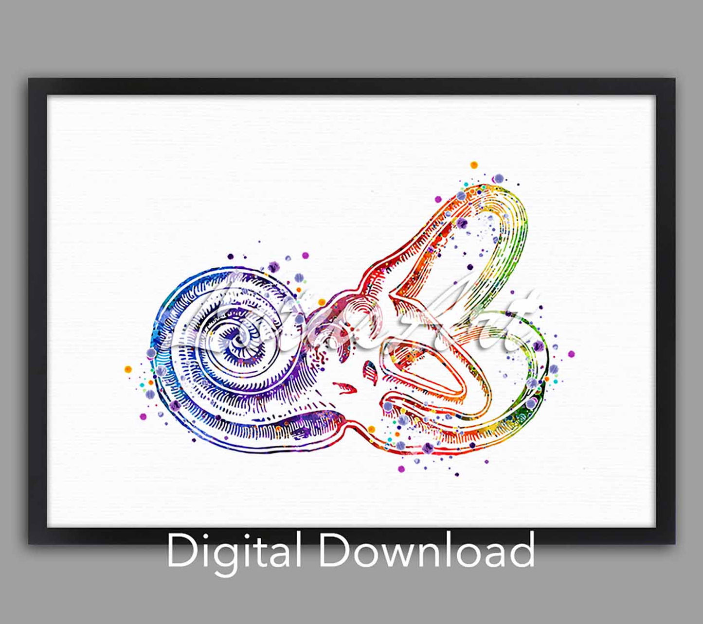 Cochlea bony labyrinth instant digital download, medical watercolor art, ENT audiology clinic science decor, doctor gift