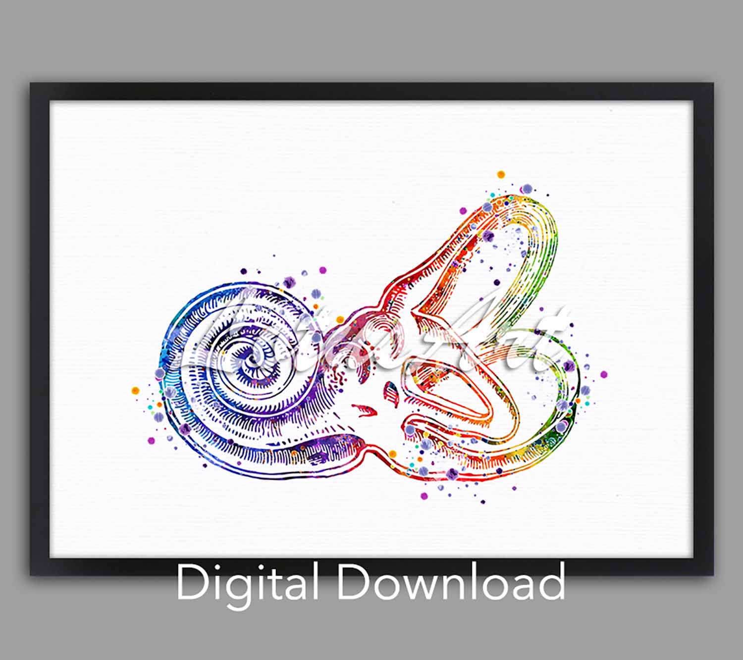 Cochlea bony labyrinth instant digital download, medical watercolor art, ENT audiology clinic science decor, doctor gift