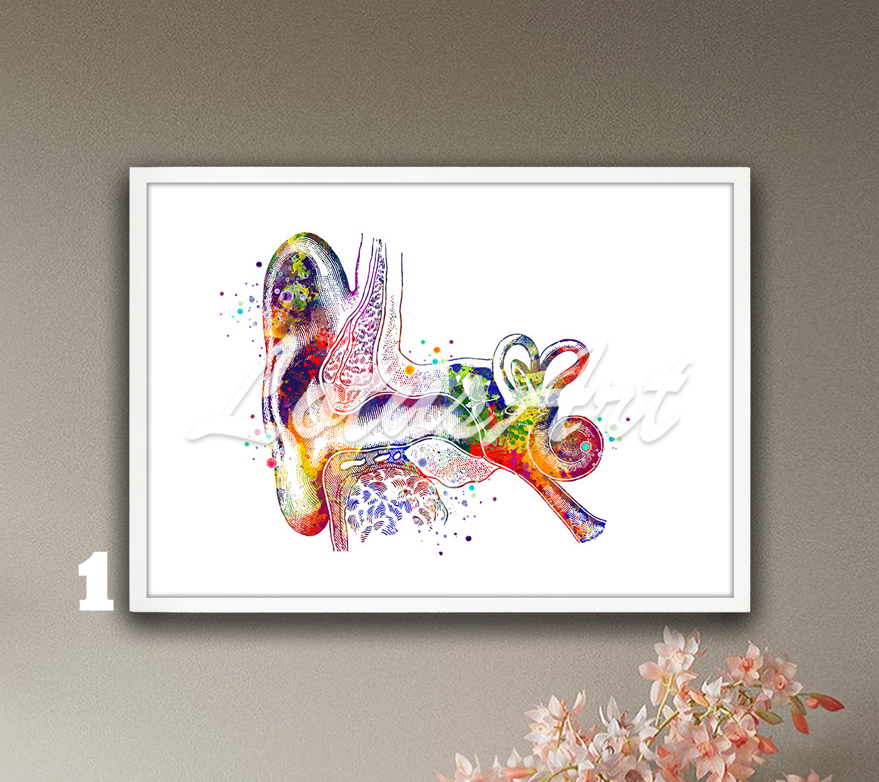 Multicolor art print of cochlea inner and outer ear anatomy watercolor painting – medical wall decor.