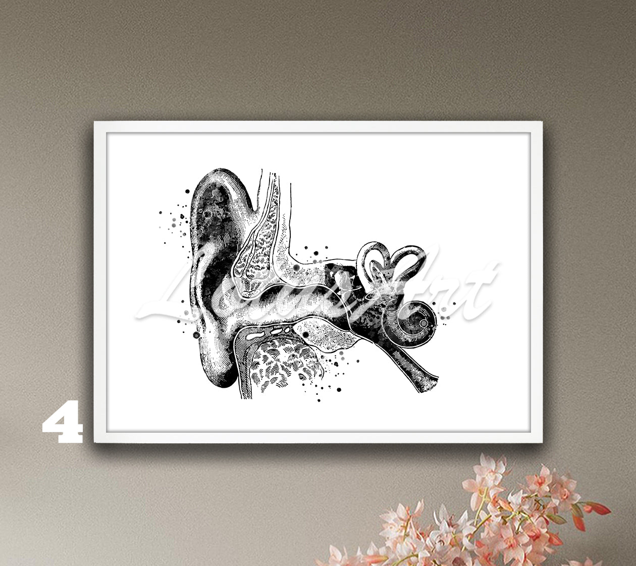 Art print of cochlea inner and outer ear anatomy watercolor painting in black-white– perfect clinic wall decor.