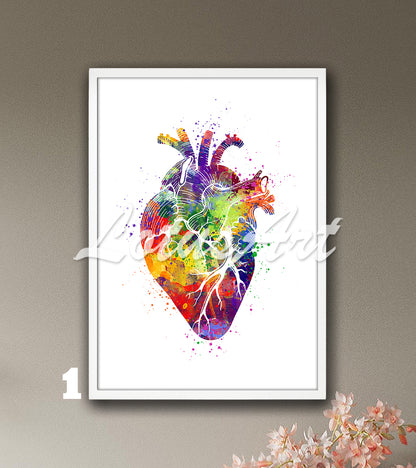 Art print of a beautiful multicolor watercolor art depicting the anatomy of the human heart on a white background.