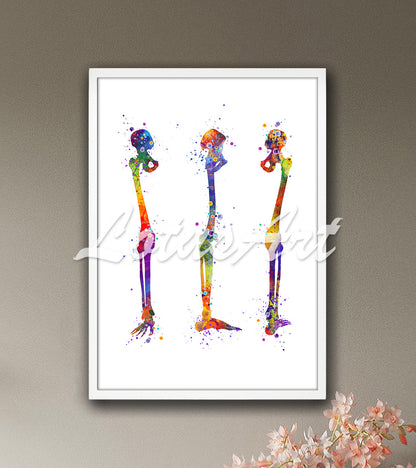 Colorful leg bones anatomy print femur tibia fibula in vibrant watercolor - orthopedic medical wall art