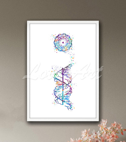DNA A-form double helix structure in vibrant watercolor tones - medical science wall decor