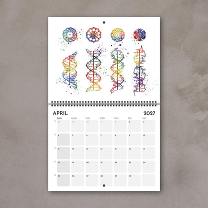 2027 anatomy wall calendar pages showing dna helix watercolor painting, science lab poster