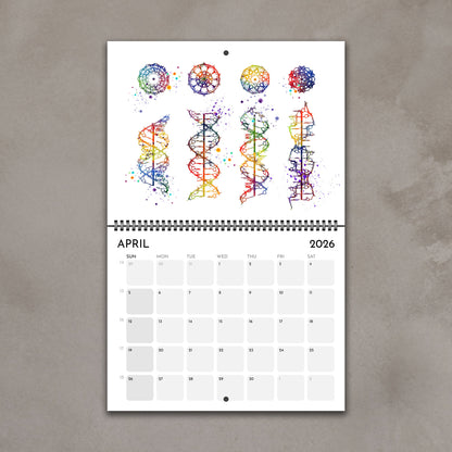 2026 anatomy wall calendar pages showing dna helix watercolor painting, science lab decor