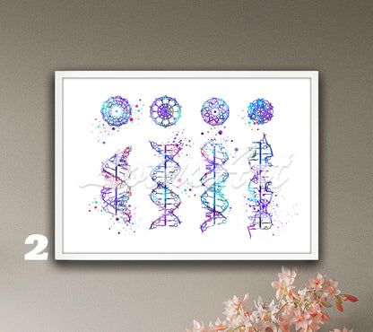 Art print of DNA helix a-b-c-z form of a blue-purple watercolor artwork for science medical wall decor.
