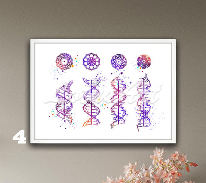 Art print in purple of DNA helix a-b-c-z form watercolor illustration, ideal medical wall decor and science gift.
