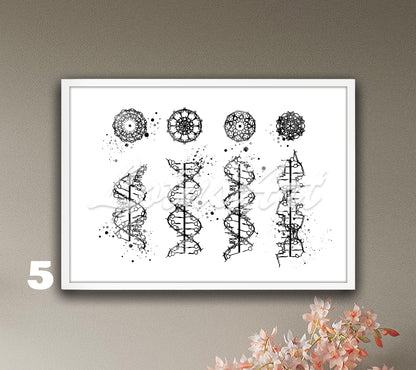 Art print in black-white of DNA helix a-b-c-z form watercolor painting, great medical wall decor and science gift.
