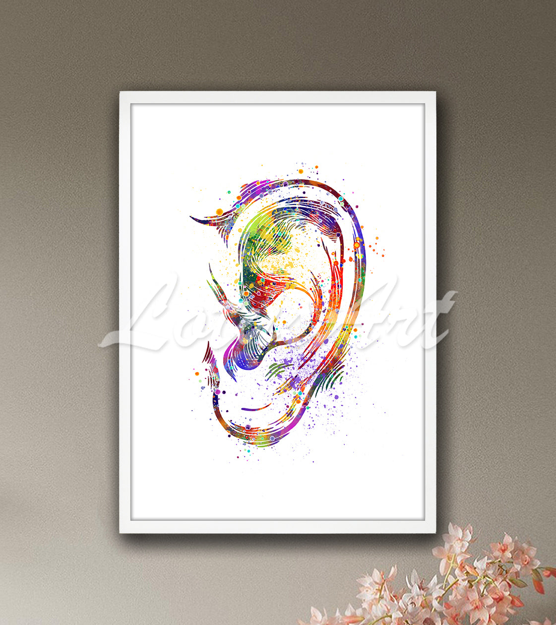 Ear anatomy detailed structure multicolor watercolor art print - audiology medical artwork