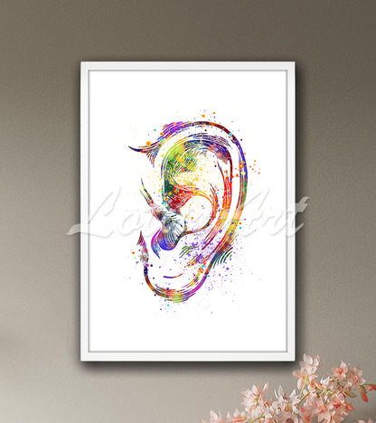 Ear anatomy detailed structure multicolor watercolor art print - audiology medical artwork