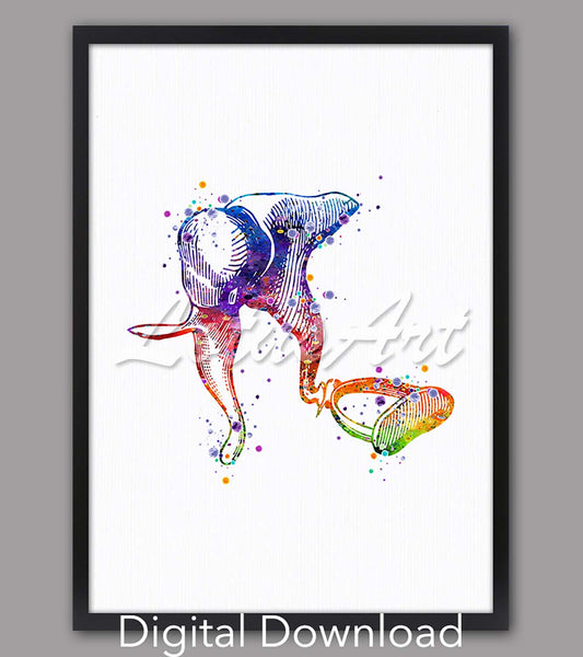 Ear ossicles anatomy instant digital download, watercolor art, ENT audiology medical decor & science gift in rainbow tones