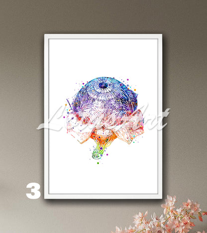 Eye Anatomy Watercolor Art Print – Medical Poster for Optometry & Ophthalmology