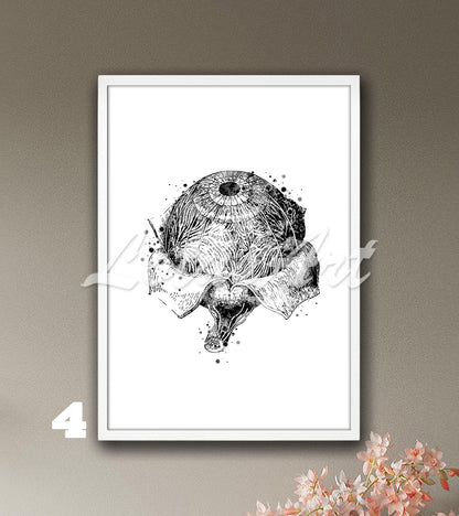 Eye Anatomy Watercolor Art Print – Medical Poster for Optometry & Ophthalmology