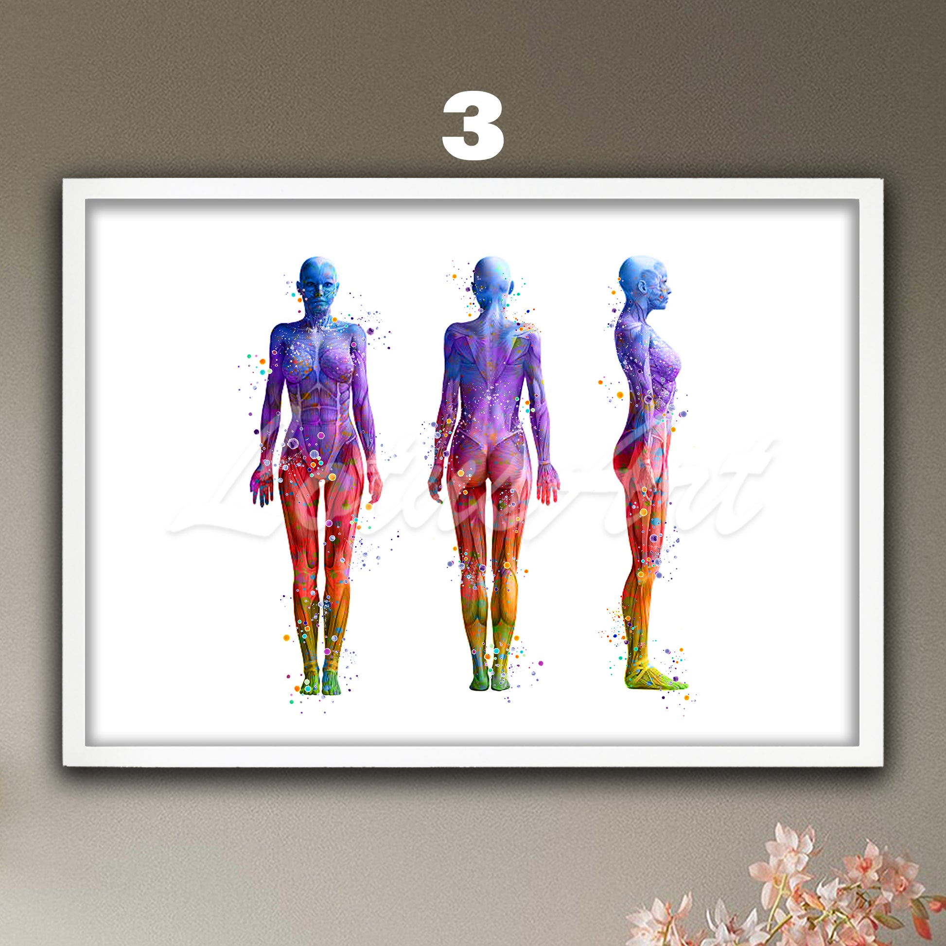 Medical watercolor artwork in rainbow colors – anatomy of the muscles of the woman in front, profile and back view.