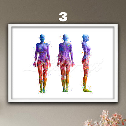 Medical watercolor artwork in rainbow colors – anatomy of the muscles of the woman in front, profile and back view.