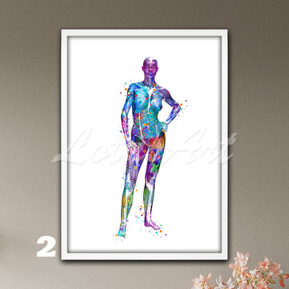 Beautiful multi-color watercolor medical painting depicting the anatomy of the muscles of a female body.
