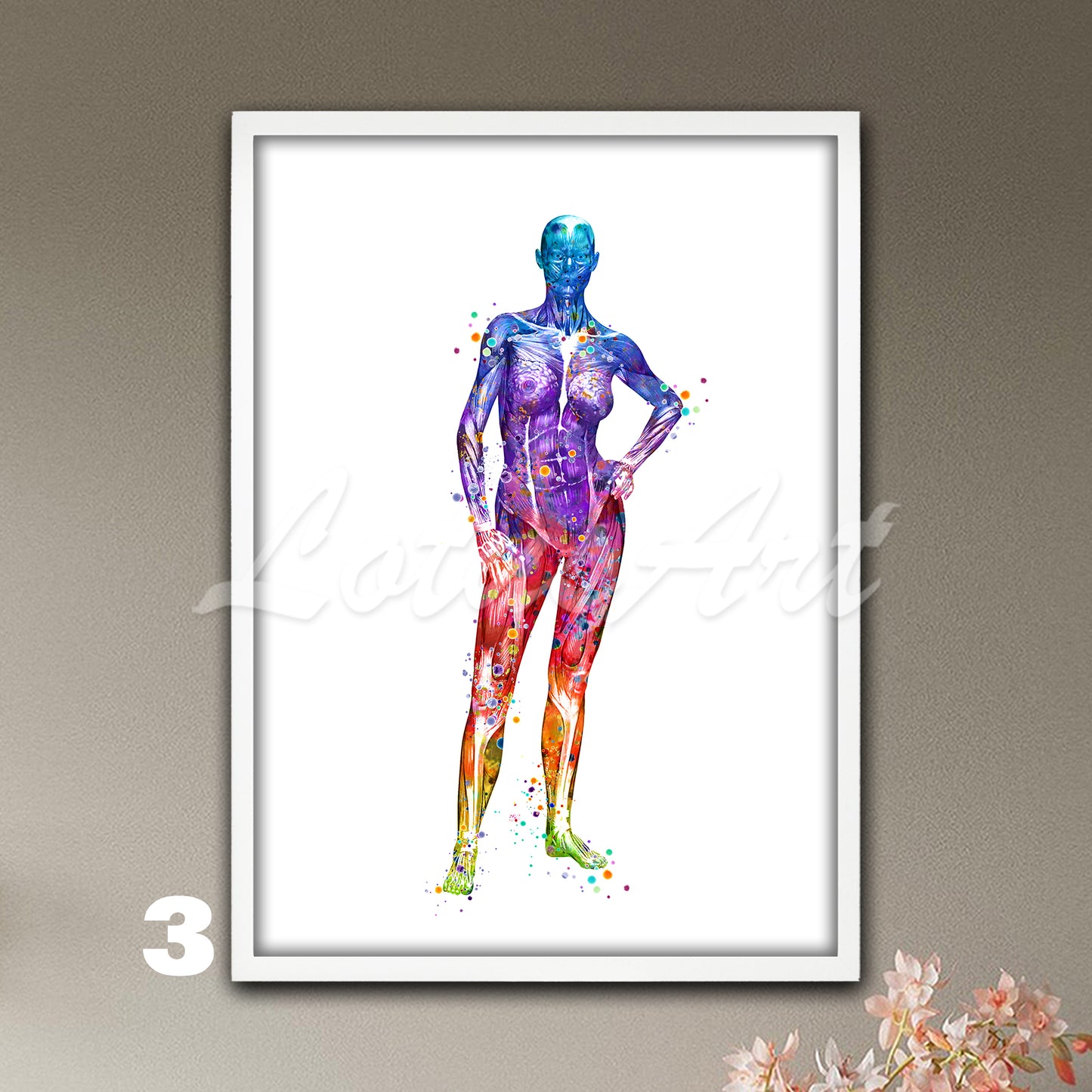 Watercolor medical artwork in rainbow colors depicting the anatomy of the muscles of the female body.