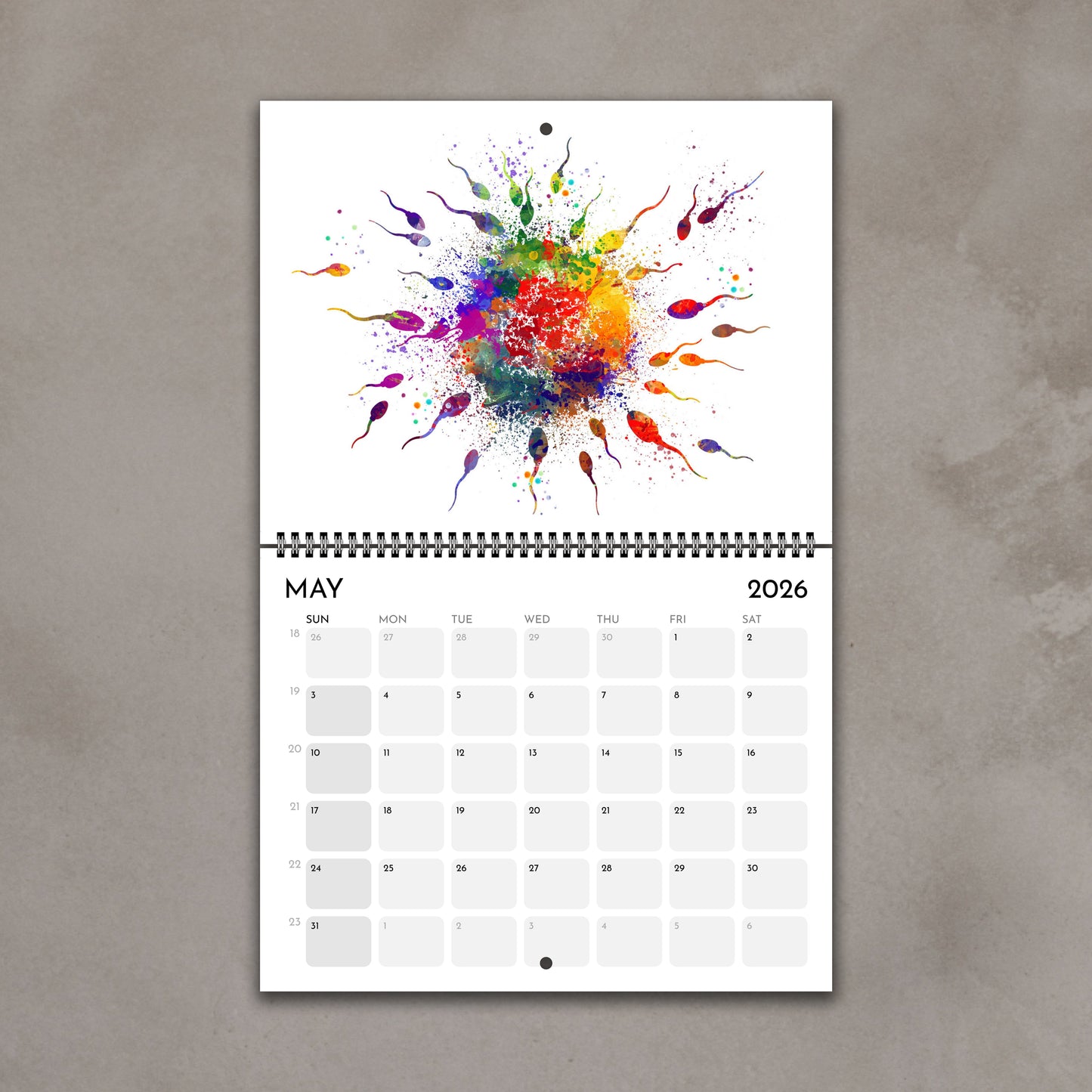 2026 anatomy wall calendar spreads with human fertilization artwork, medical science decor