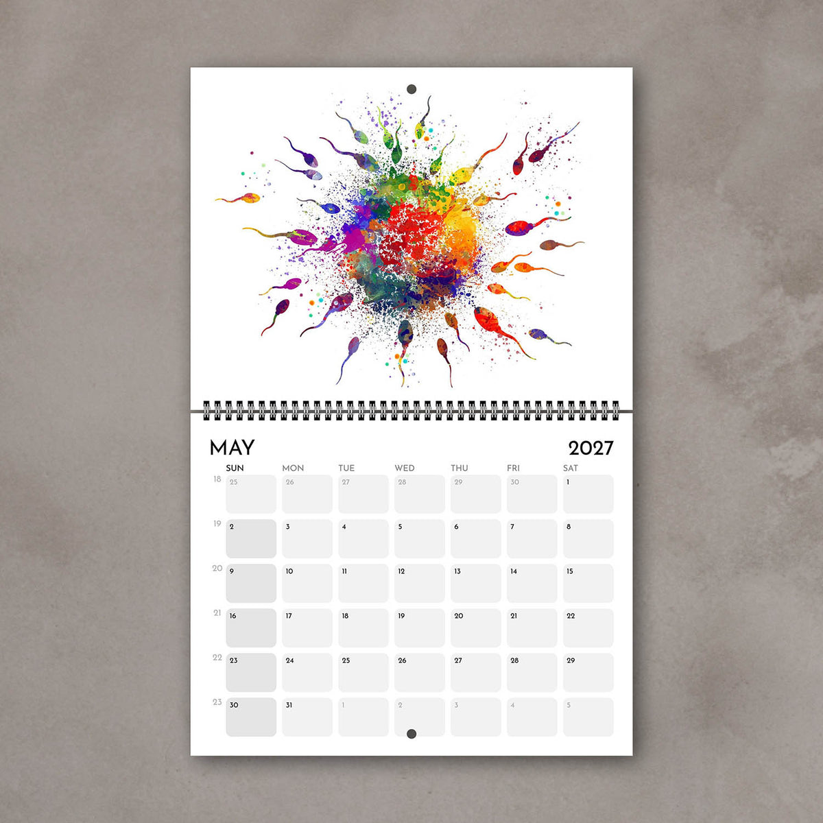 2027 anatomy wall calendar spreads with human fertilization artwork, medical science painting