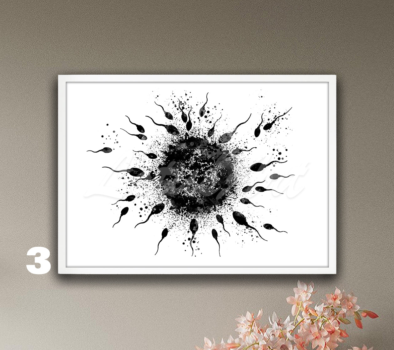 Egg and sperm fertilization watercolor decor in black and white, medical wall decor for gynecology clinics & doctors gift