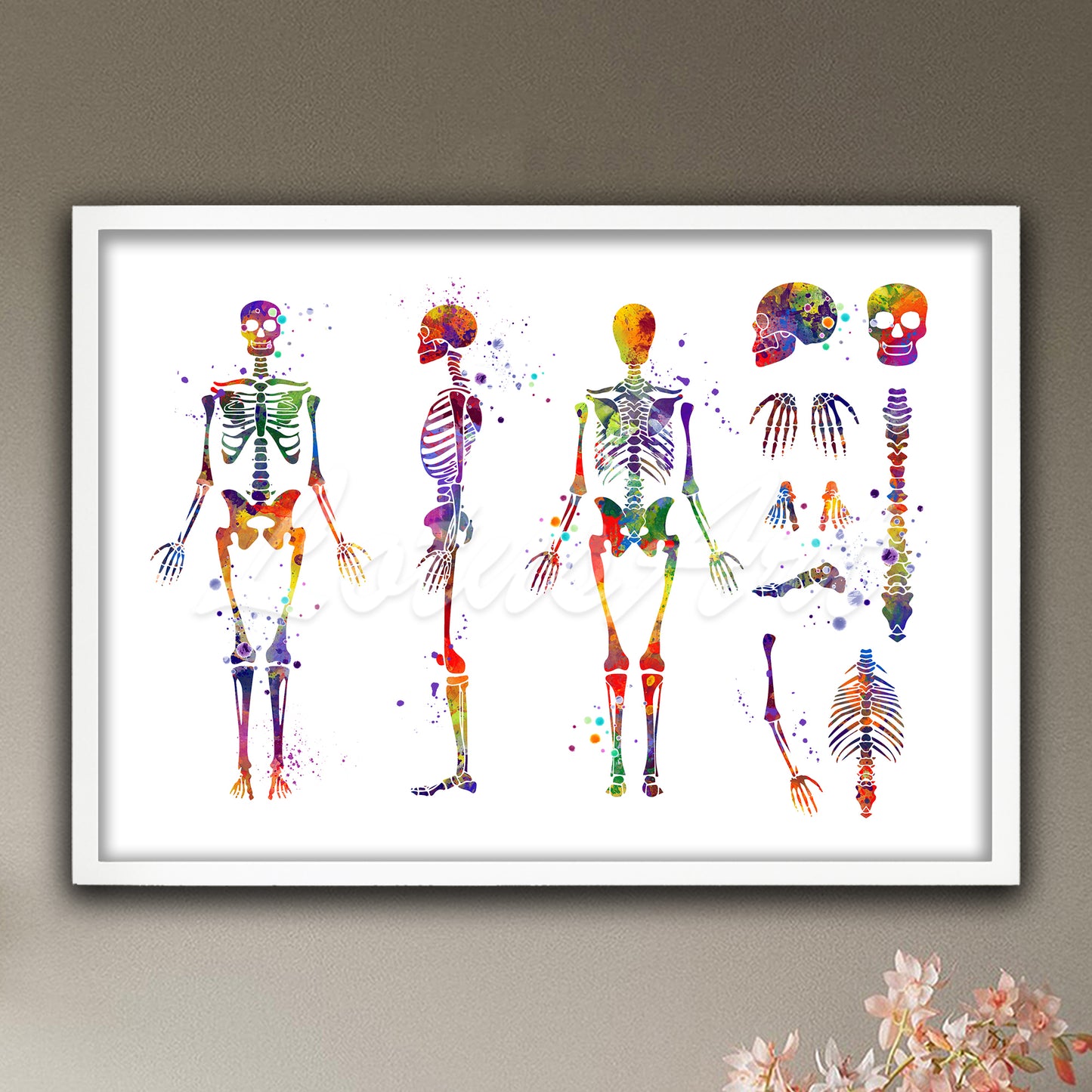 Full human skeleton anatomy art print with detailed parts multicolor watercolor - medical educational wall decor
