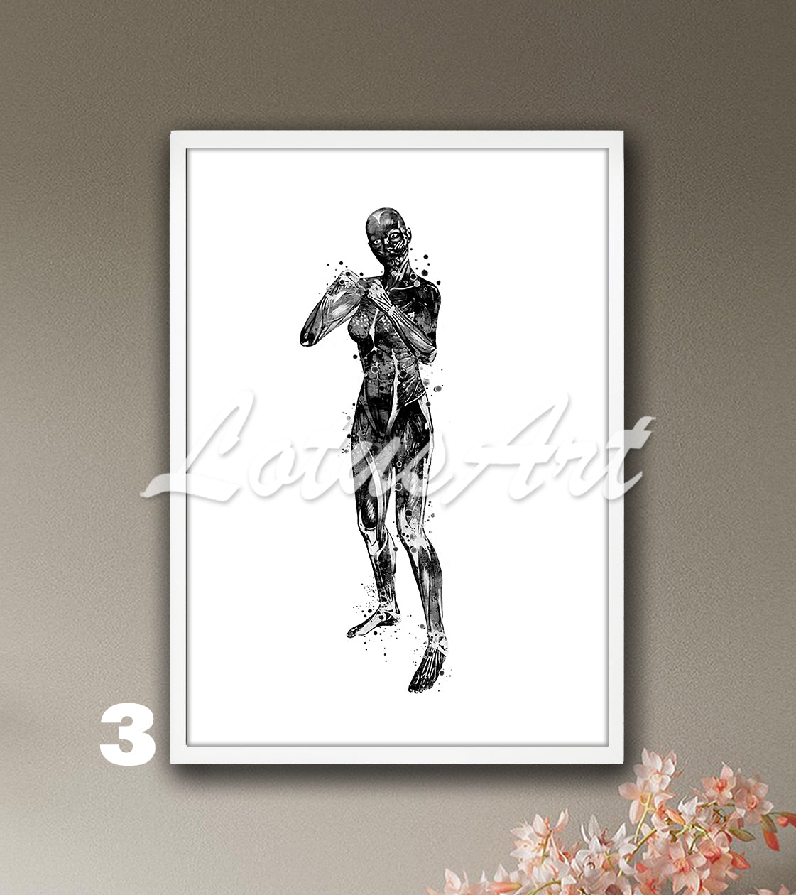 Watercolor print showing body muscles anatomy of girl boxing, black white sports medical wall art for clinic decor.