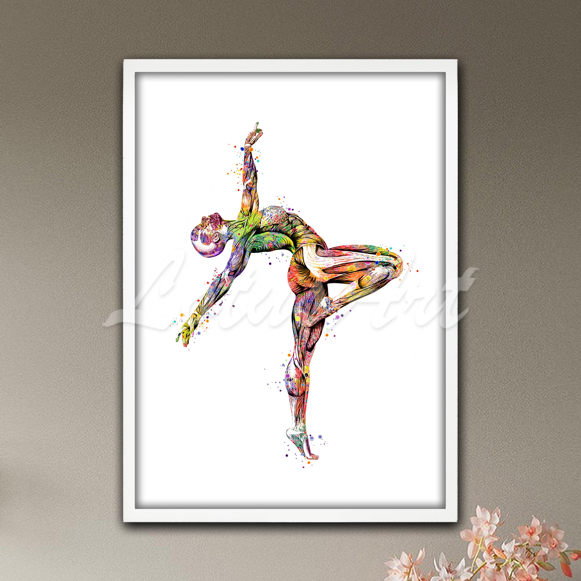 Gymnast anatomy muscles watercolor medical artwork in multicolor - sports clinic decor