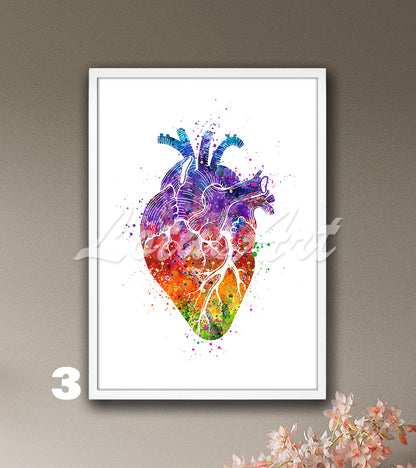 Art print of a wonderful watercolor art showing the anatomy of the human heart in rainbw colors on a white background.