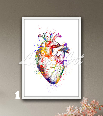 Multicolored art print of a beautiful watercolor painting depicting the anatomy of the human heart.