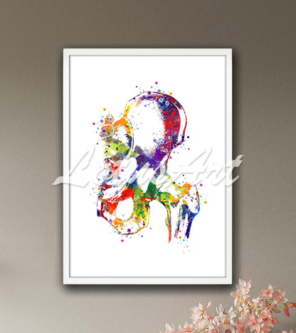 Hip joint anatomy with bones and ligaments colorful watercolor art print - sports medicine clinic painting
