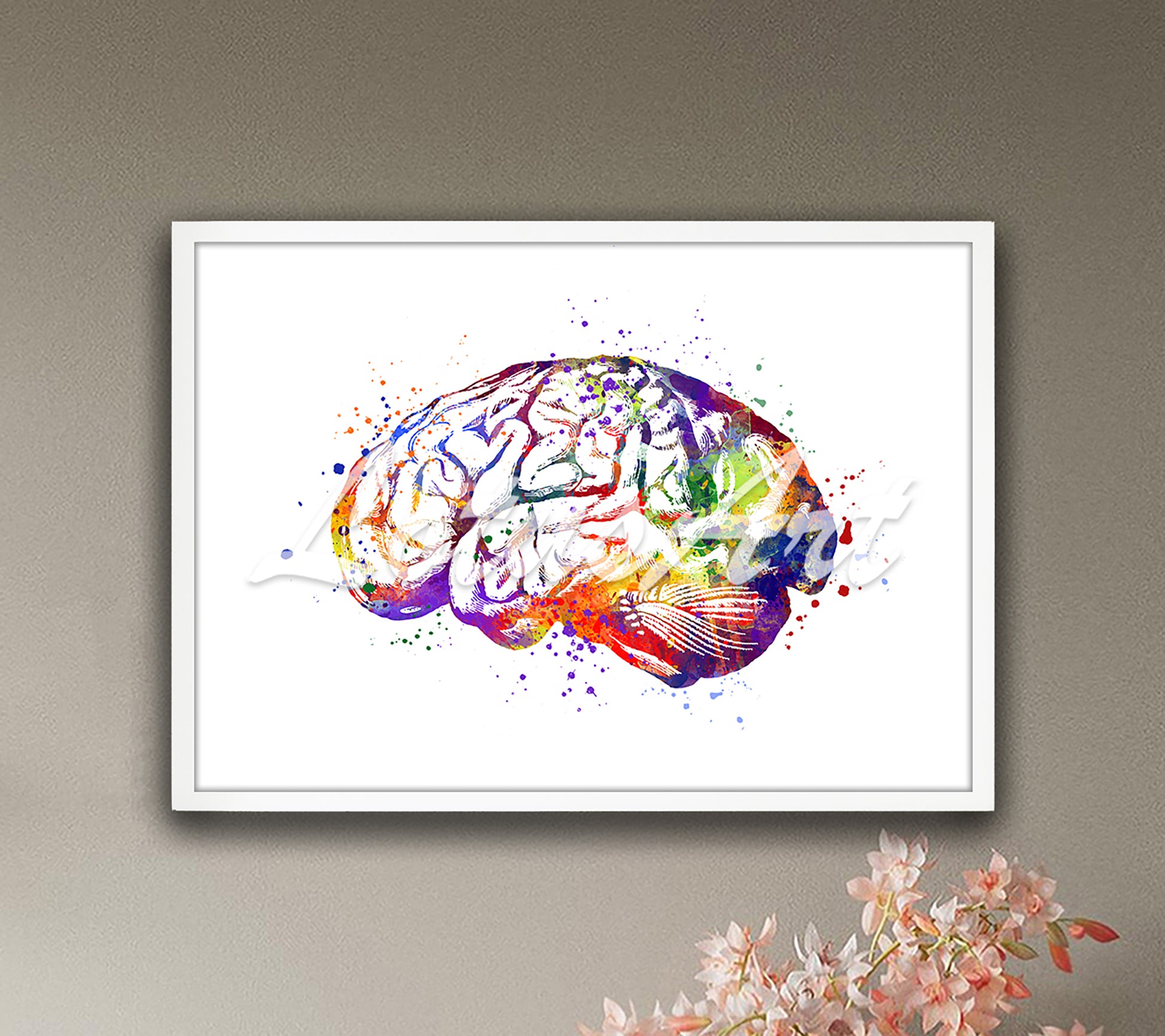 Human brain anatomy art print in multicolor watercolor - clinic office artwork