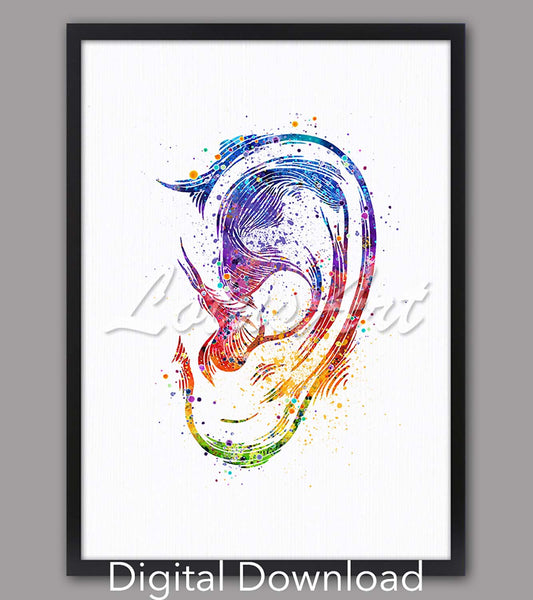 Human ear anatomy watercolor art instant digital download, colorful rainbow decor, medical office & audiology clinic gift