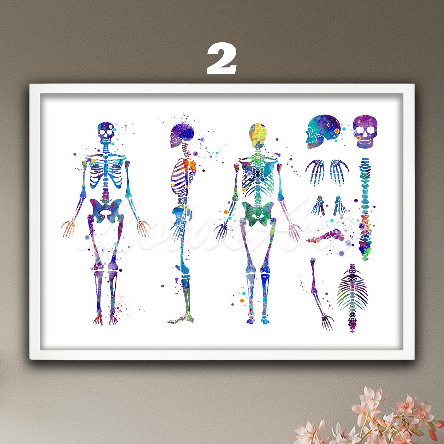 Human skeleton anatomy art decor in blue-purple watercolor tones, medical wall decor for doctor office & anatomy gift