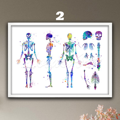 Human skeleton anatomy art decor in blue-purple watercolor tones, medical wall decor for doctor office & anatomy gift