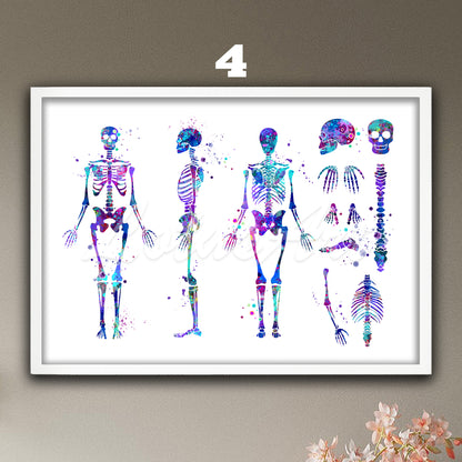 Human skeleton anatomy medical painting in blue-purple watercolor art, medical wall decor for doctor office & clinic gift
