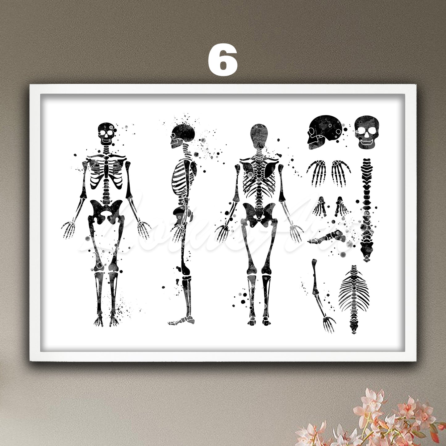 Human skeleton anatomy wall art in black and white, minimalist medical wall decor for doctor office & anatomical clinic gift