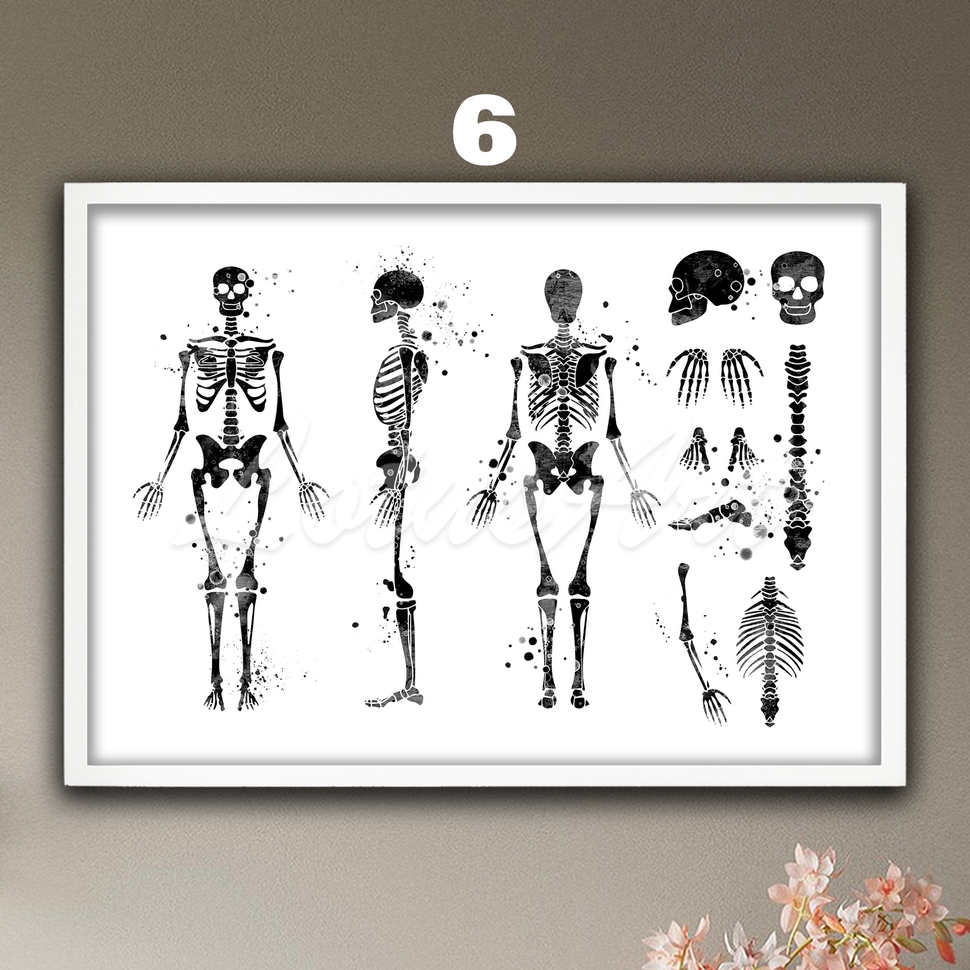 Human skeleton anatomy wall art in black and white, minimalist medical wall decor for doctor office & anatomical clinic gift